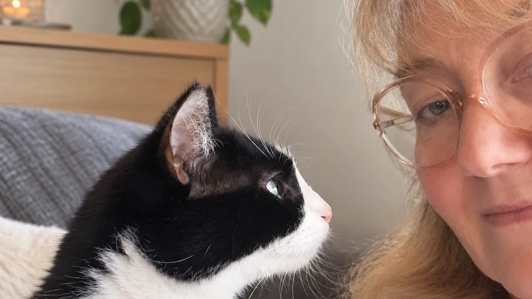 conseils 2 Faire garder son chat à domicile pendant les vacances
